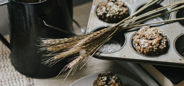 Muffins de Chocolate, Avena & Nueces