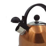 Tetera de acero inoxidable Capri cobre 2,5 L